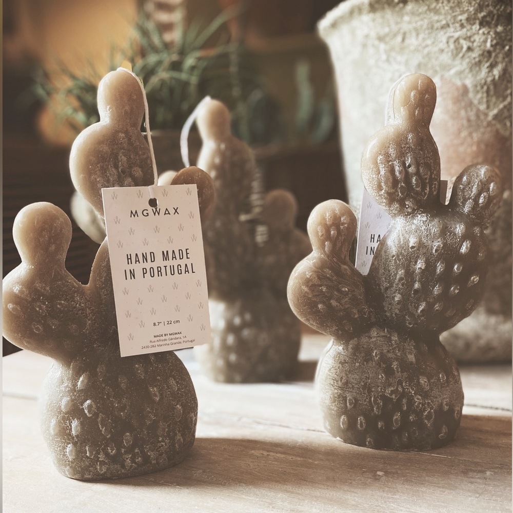 Cactus Candles - Picture 10 of 12